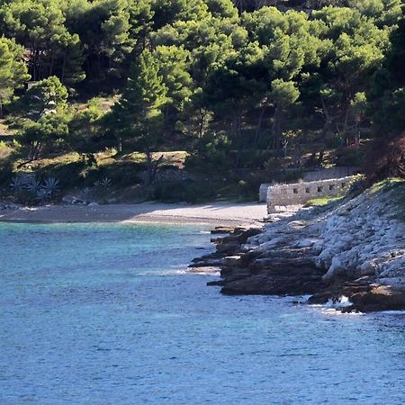 Apartments Zoki - Great Location Close To The Sea Vis Exterior foto